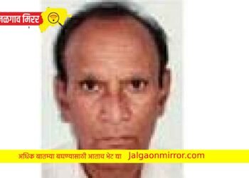 बहीण व मेहुण्यावर हल्ला ; शालकास जन्मठेप