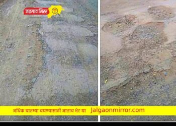 जामनेर तालुक्यातील सोनाळे गावात रस्त्यांची झाली चाळणी ; प्रशासनाचे दुर्लक्ष