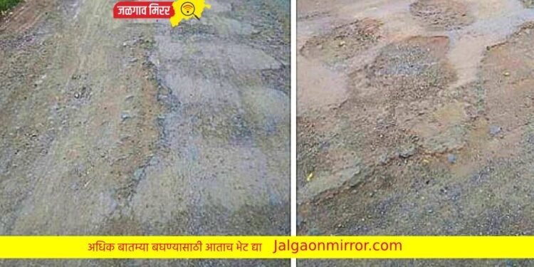 जामनेर तालुक्यातील सोनाळे गावात रस्त्यांची झाली चाळणी ; प्रशासनाचे दुर्लक्ष