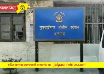 कारमधून आले अन् रिक्षाचालकाला लुटले अन कारमध्ये सापडली नकली बंदूक