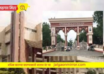 निकालात गोंधळाने विद्यापीठच नापास