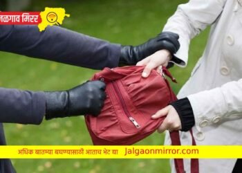 जामनेरच्या महिलेची पर्स लांबवली ; पोलिसात गुन्हा