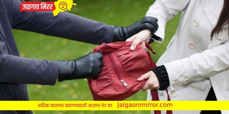 जामनेरच्या महिलेची पर्स लांबवली ; पोलिसात गुन्हा