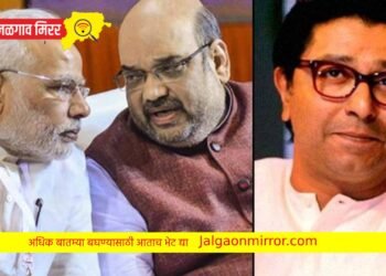 अमित शहाच्या हस्ते मनसे – भाजप युतीचे या दिवशी फुटणार नारळ ? तारीख जाहीर