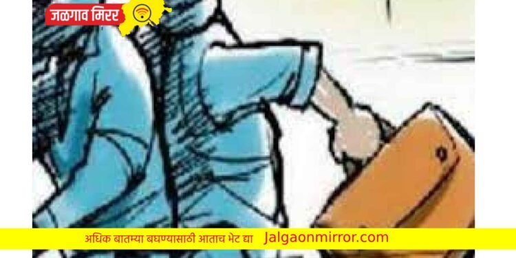 सावधान जळगावकर : दुचाकीवरील चोरट्यांनी लांबवली चार लाख रुपयांची पिशवी