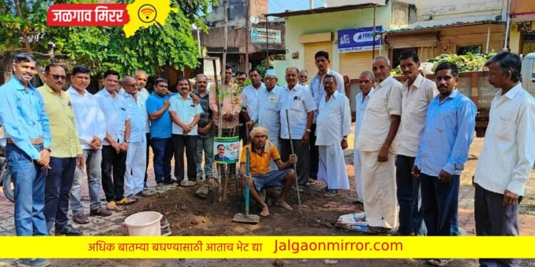 “झाड माझ्या नाथांभाऊंचं” : निंभोऱ्यात राष्ट्रवादीचा स्तुत्य उपक्रम