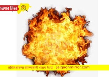 जळगावात बाप्पाच्या मिरवणुकीत ‘ज्वालाग्राही स्प्रे’ची स्टंटबाजी ; गुन्हा दाखल