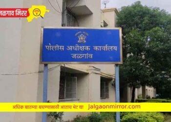 Big Breking : एलसीबी निरीक्षक म्हणून नजन-पाटील यांच्या नियुक्तीला आयजींकडून स्थगिती