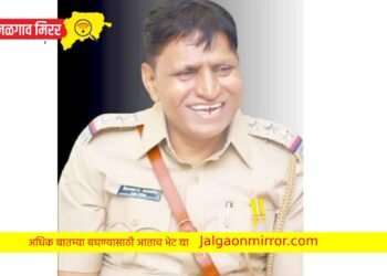 मोठी बातमी : पुन्हा जळगाव एलसीबीचा पदभार किसनराव नजन-पाटील यांच्याकडेच