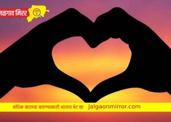 प्रेम काय असतं…; महिला IAS अधिकाऱ्याने शेअर केलेला Romantic video तुफान व्हायरल