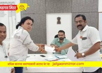 जिल्ह्यातील महिला कामगार योजना सुरु करा : मनसेचे जिल्हाधिकारी यांना निवेदन