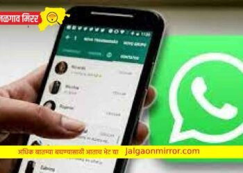 व्हाट्सॲपवर महिला डॉक्टरला पाठवले अश्लील संदेश