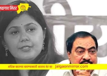 पंकजा मुंडेंच्या बोलण्याचा ‘तसा’ अर्थ काढू नका