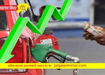मोठी बातमी : पेट्रोल-डीझेलचे दर कमी होणार ?