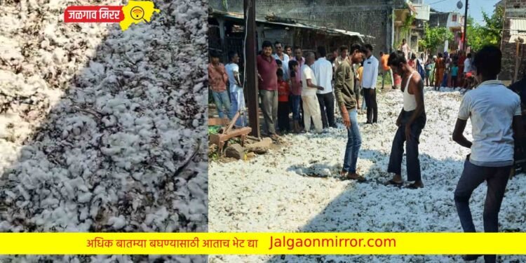 दिवाळीच्या तोंडावर शेतकऱ्यांचा घास हिरवला… 3 लाखांचे नुकसान…