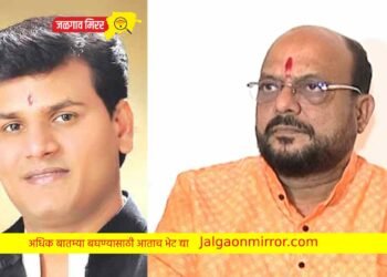 मंत्री पाटलांनी आ.रवी राणांना चांगलेच सुनावले ! म्हणाले तुमचा वाद…