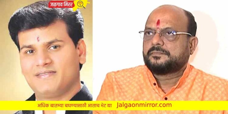 मंत्री पाटलांनी आ.रवी राणांना चांगलेच सुनावले ! म्हणाले तुमचा वाद…