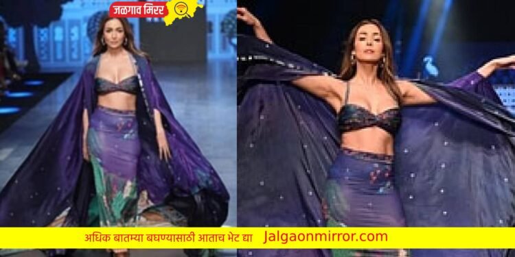‘मलायका’चा रॅम्प वॉक होतोय व्हायरल… आजही