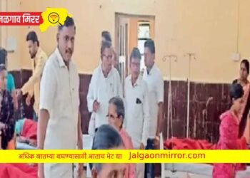 मजुरांची रिक्षा उलटली ; १२ जखमी, एका महिलेची प्रकृती गंभीर‎