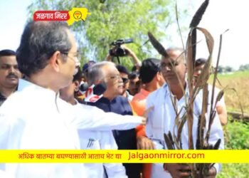 उद्धव ठाकरें थेट पोहचले शेताच्या बाध्यावर !