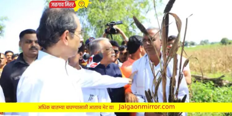उद्धव ठाकरें थेट पोहचले शेताच्या बाध्यावर !