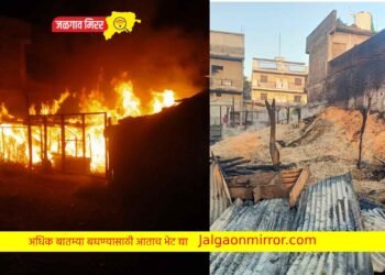 दिवाळीच्या दिवशी शेतकऱ्याचे गोठ्याला आग ; साहित्याचे नुकसान