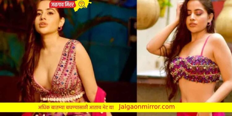 ‘या’ गाण्यामुळे उर्फी जावेदवर केला गुन्हा दाखल