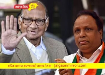 एमसीए निवडणुक : शरद पवारांविरोधात आशिष शेलार करणार उमेदवारी