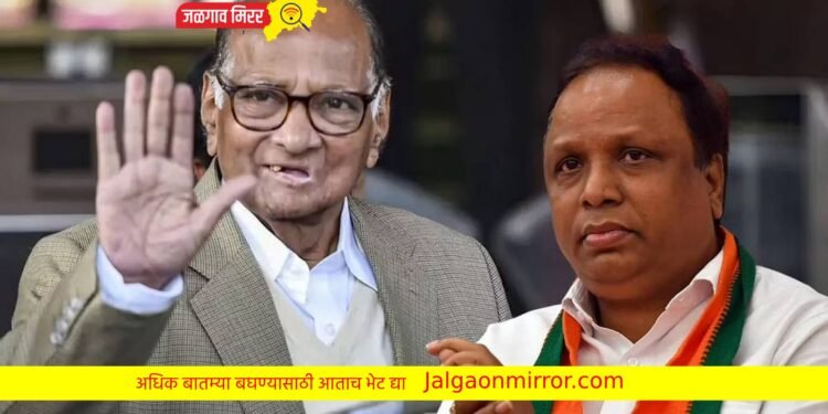 एमसीए निवडणुक : शरद पवारांविरोधात आशिष शेलार करणार उमेदवारी