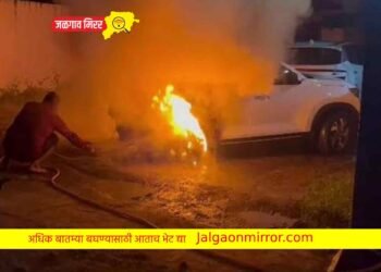 जळगावात अज्ञात माथेफिरूने पहाटे दुचाकीसह चारचाकी जाळली