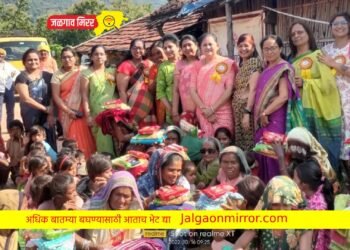 यंदा एक दिवाळी अशी ही. ..