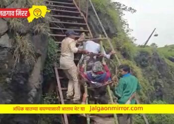 बाळंतीन महिलेचा जीवघेणा प्रवास : एकीकडे डोंगर आणि दुसरीकडे दरी…