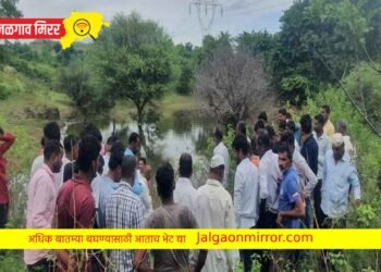 पोहण्यासाठी तळ्यात उतरलेल्या चौघा भावांचा शॉक लागून मृत्यू