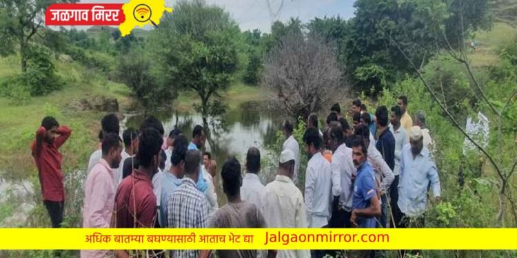 पोहण्यासाठी तळ्यात उतरलेल्या चौघा भावांचा शॉक लागून मृत्यू