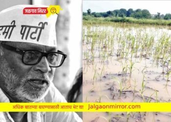 ऐन दिवाळीत शेतकऱ्यांच्या नशिबी सोयाबीनची माती आणि कापसाच्या वाती !