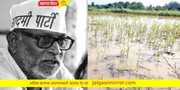 ऐन दिवाळीत शेतकऱ्यांच्या नशिबी सोयाबीनची माती आणि कापसाच्या वाती !