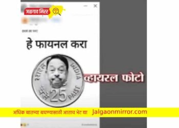हा खोडसाळपणा कुणी केला : २५ पैशाच्या नाण्यावर नारायण राणे…
