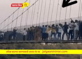 पूल दुर्घटनेत खासदार कुंदारियांवर दु:खाचा डोंगर; कुटुंबातील १२ जणांचा मृत्यू