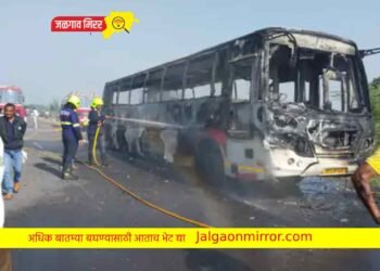 पुण्याला जाणाऱ्या शिवशाही बसने रस्त्यातच घेतला पेट !