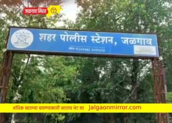 दांडेकर नगरातील महिलेची फसवणूक ;चौघांविरुद्ध गुन्हा दाखल