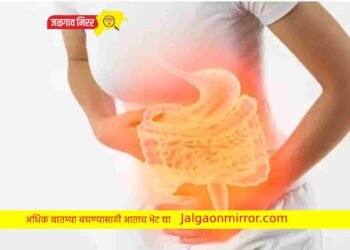 ॲसिडिटी का होते? कशामुळे होते? आणि त्यावर घरगुती उपाय; जाणून घ्या सविस्तर