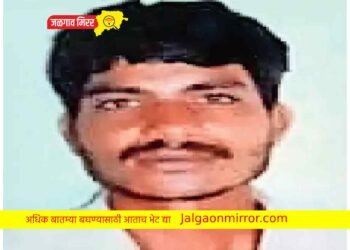 शेतात रानडुकराचा हल्ला ; शेतकरी ठार