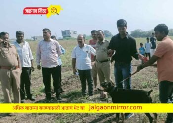 दोन घरे फोडली ; सोने चांदीच्या दागिन्यांसह रोकड लंपास