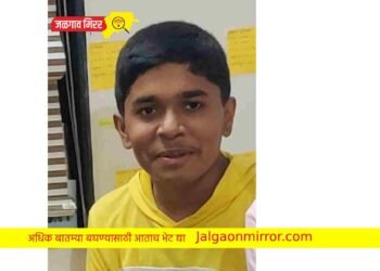 झोका खेळत असतांना मुलाला बसला दोरीचा फास !