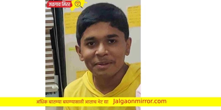 झोका खेळत असतांना मुलाला बसला दोरीचा फास !