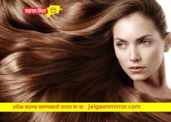 या शेगांचा तुम्हाला होणार भरपूर फायदा; दाट केसासह मिळणार चमक !