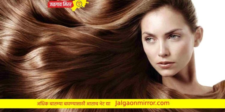 या शेगांचा तुम्हाला होणार भरपूर फायदा; दाट केसासह मिळणार चमक !
