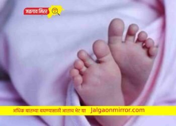 आईनेच संपविले वीस दिवसाच्या मुलीला अन पोलीसांना दिली कबुली