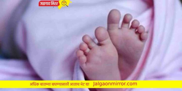 आईनेच संपविले वीस दिवसाच्या मुलीला अन पोलीसांना दिली कबुली