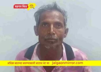 पत्नीचा खून करणाऱ्या पतीस जन्मठेप ; अमळनेर कोर्टाचा निकाल